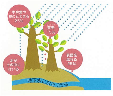 涵養水源的意思|涵養的意思